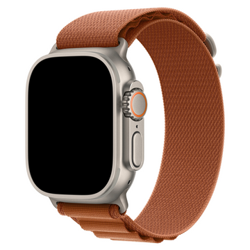 Curea Alpine Apple Watch Titanium Saddle Brown