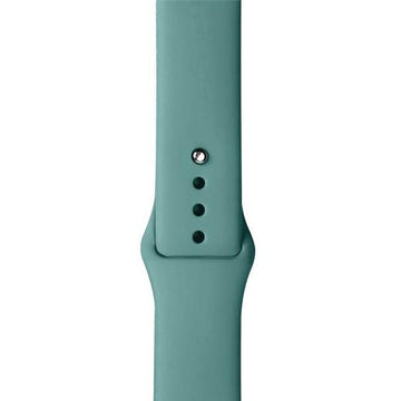 CUREA SILICONE APPLE WATCH CACTUS